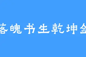 落魄书生乾坤剑