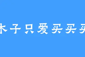 木子只爱买买买