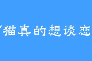 阿猫真的想谈恋爱