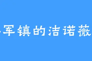 瑶军镇的洁诺薇亚