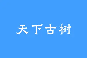 天下古树