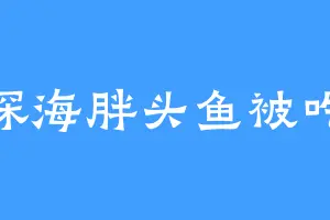 深海胖头鱼被吃