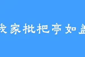 我家枇杷亭如盖