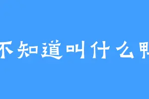 不知道叫什么鸭