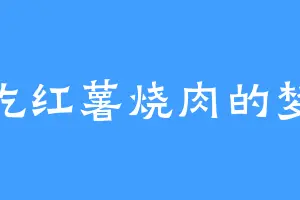 爱吃红薯烧肉的梦龙
