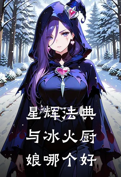 星辉法典与冰火厨娘哪个好