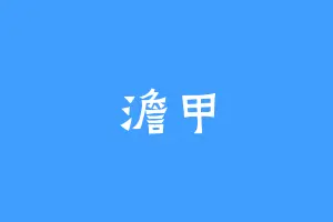 澹甲