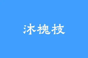 沐槐枝