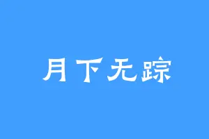 月下无踪