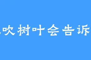 风吹树叶会告诉你