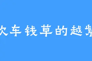 喜欢车钱草的越紫涵