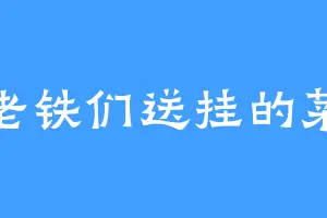 为老铁们送挂的菜宝