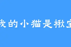 我的小猫是楸宝