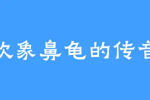 喜欢象鼻龟的传音玉