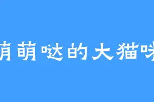 萌萌哒的大猫咪