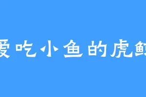 爱吃小鱼的虎鲸