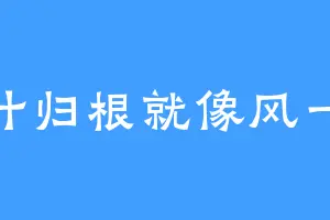 落叶归根就像风一样