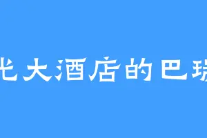 阳光大酒店的巴瑞德