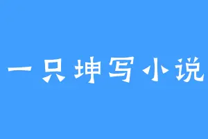 一只坤写小说