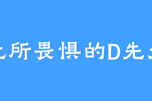 无所畏惧的D先生