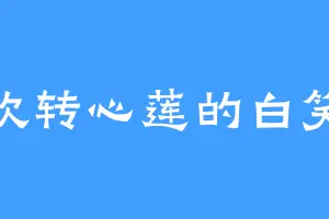 喜欢转心莲的白笑道