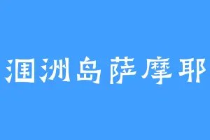 涠洲岛萨摩耶
