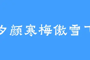 夕颜寒梅傲雪飞